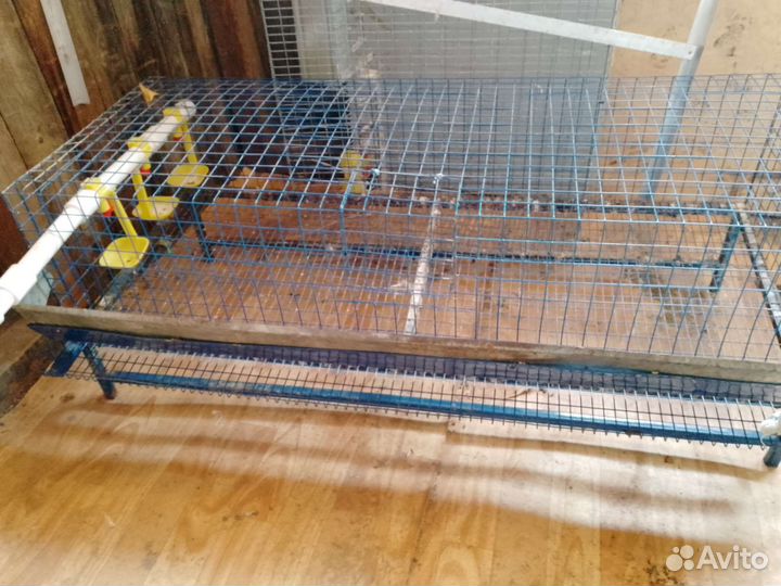 Клетки для перепелов