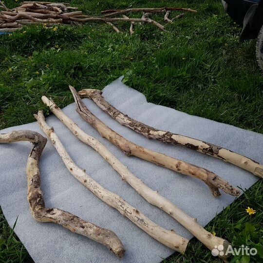 Коряги дрифтвуд из моря