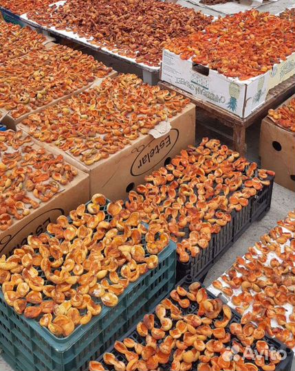 Горная курага