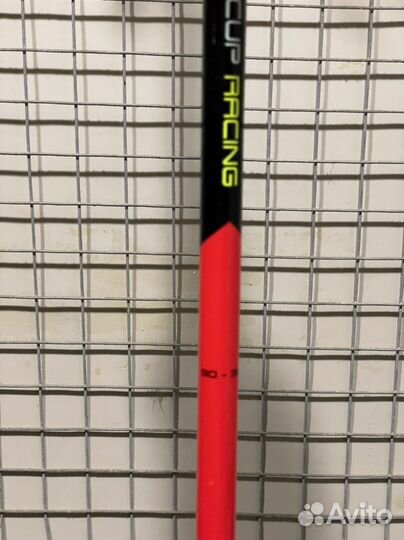 Горные лыжи