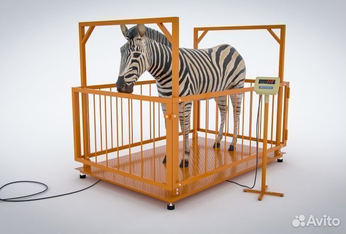 Весы для крс 300 кг 0,75х1м