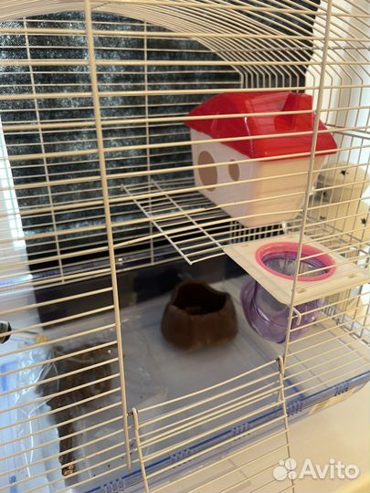 Клетка для грызунов