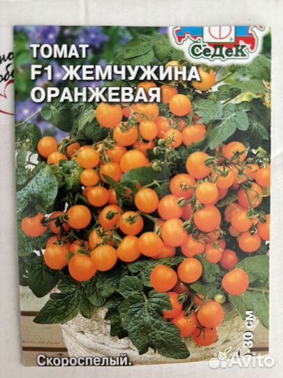 Рассада помидор черри