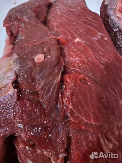 Мясо говядина