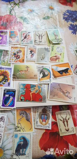 Почтовые марки