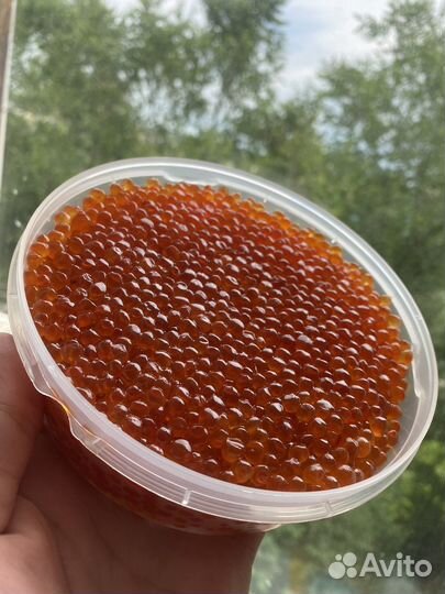 Красная икра