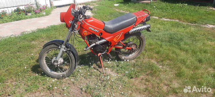 Зид 50 пилот