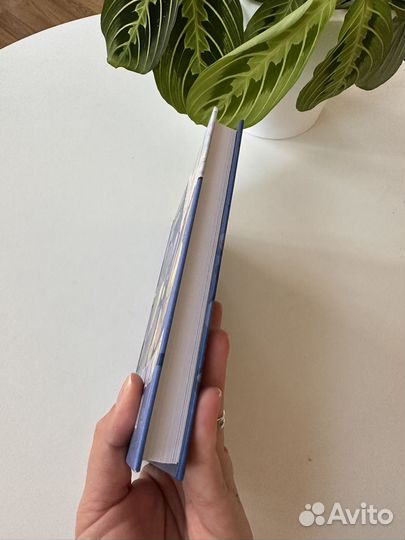 Взломщик устриц, Ж. Дюран, 2021, изд. Аркадия