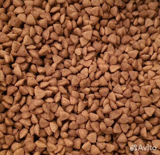 Корм для кошек и собак