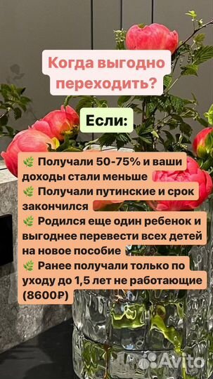 Оформление детских пособий и самозанятость