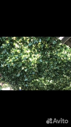 Искусственная трава