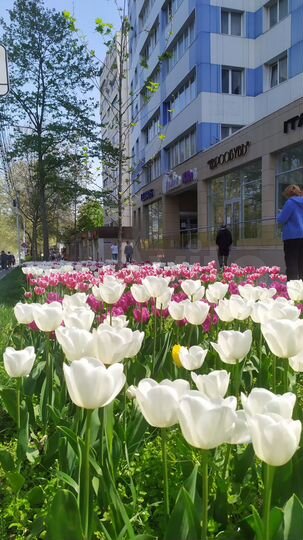 2-к. квартира, 65 м², 2/12 эт.