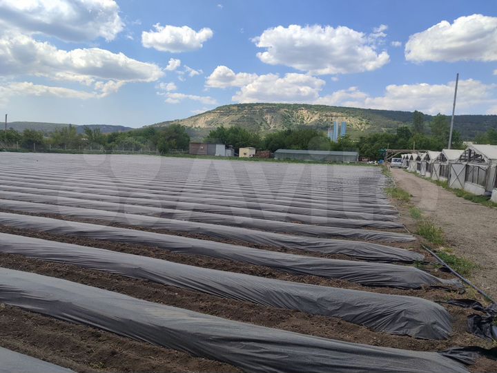 Участок 1,5 га (СНТ, ДНП)