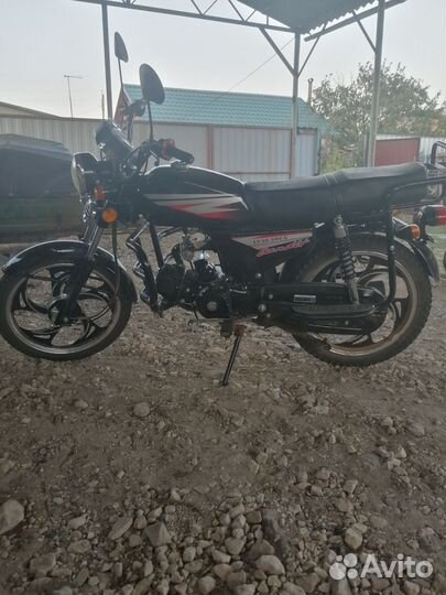 Альфа LY 50 (люкс)