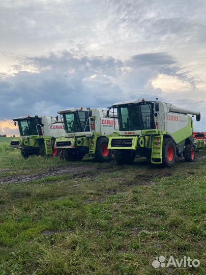 Уборка урожая 2023 класс