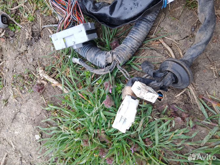 Фишки проводки Nissan Bluebird