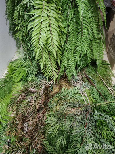 Реалистичные ампельные растения, от