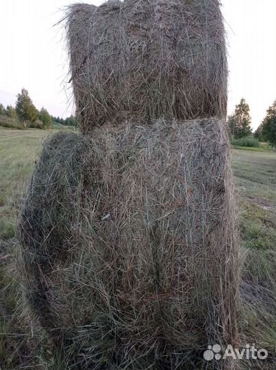 Продам сено в рулонах