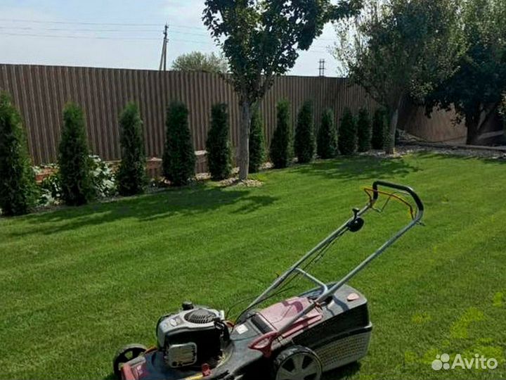 Рулонный газон. Автополив