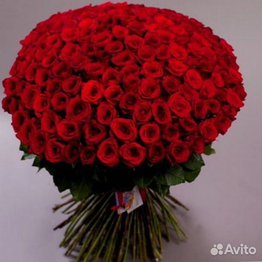 Розы, букет цветов, 101 роза, 51 роза Розы опт