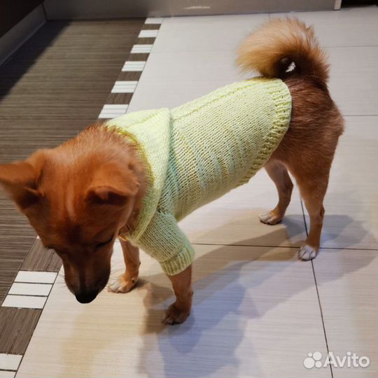 Кофточка для собаки