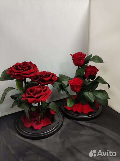Роза в колбе оптом