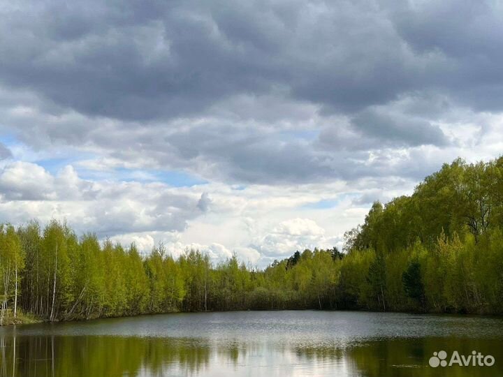 Аренда беседки у озера в Москве