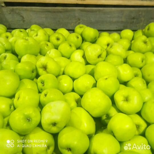 Яблоки оптом
