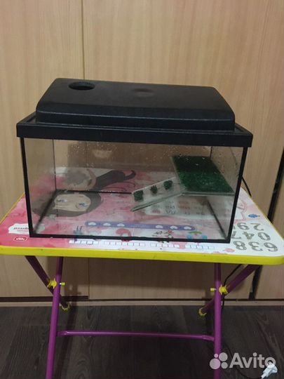 Террариум для красноухой черепахи