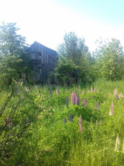 Участок 6 сот. (СНТ, ДНП)