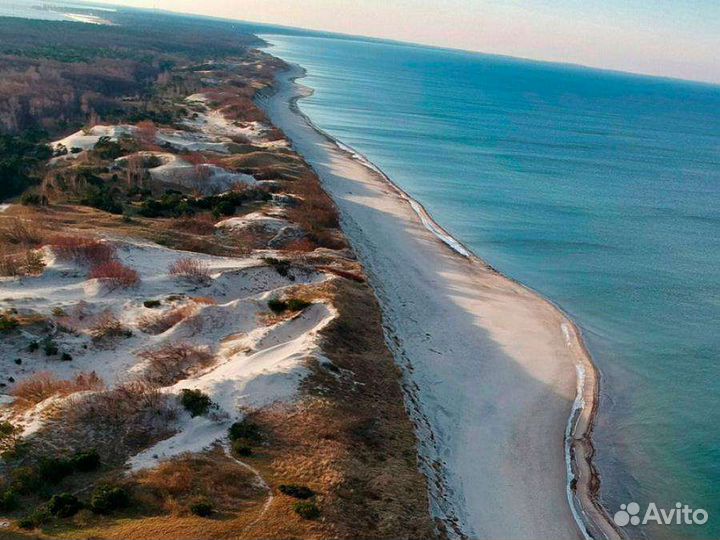 Экскурсия по Калининграду и на Куршскую Косу