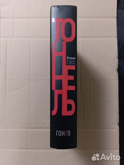 Уильям Гэсс Тоннель