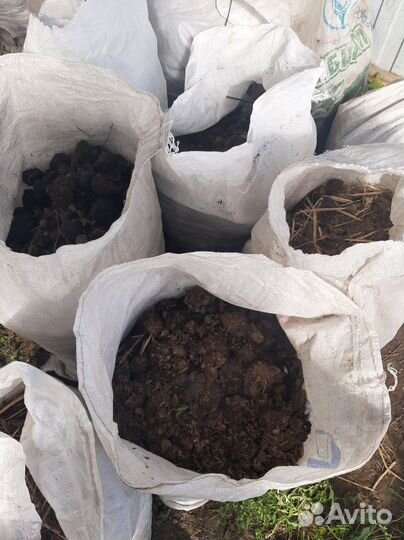 Конский навоз