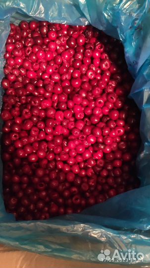 Вишня без косточки цена за 1 кг