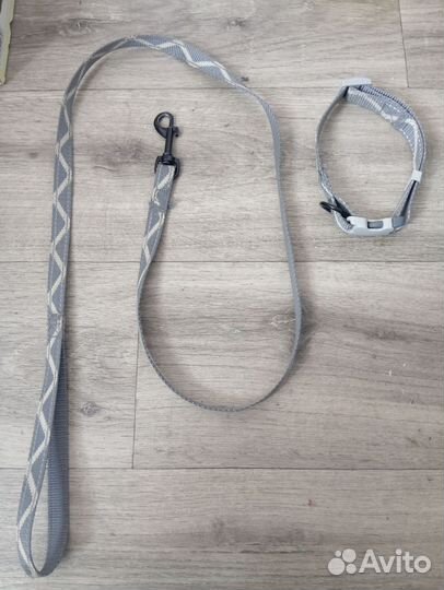 Набор амуниции ошейник, поводок