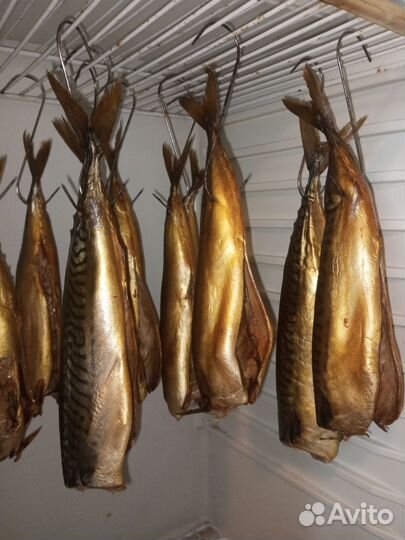 Копченая рыба