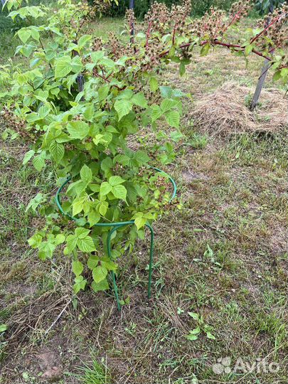 Кустодержатель из полукругов 75*50