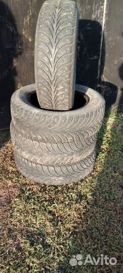 Sava Eskimo Stud 175/65 R14