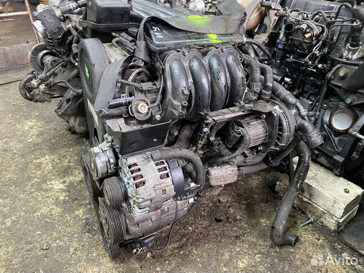 Двигатель AVU 1.6 Skoda Оctavia