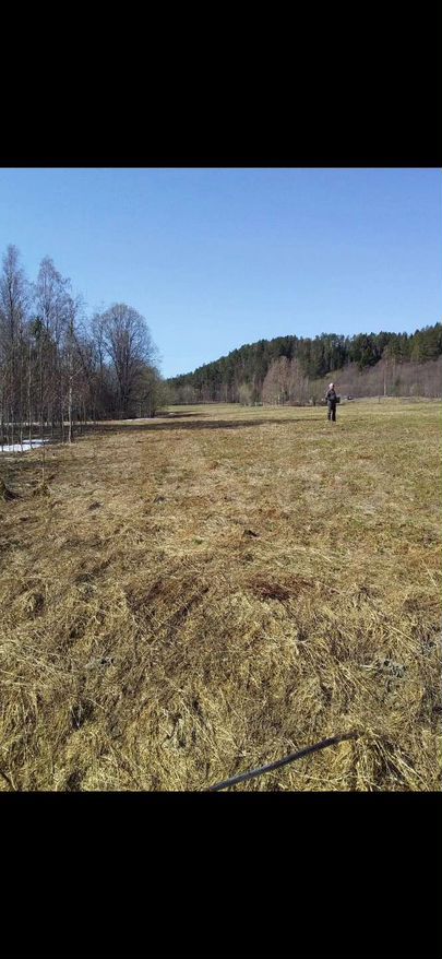 Участок 1,59 га (СНТ, ДНП)