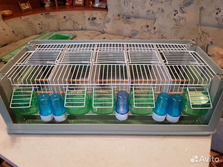 Транспортный бокс для мелких птиц