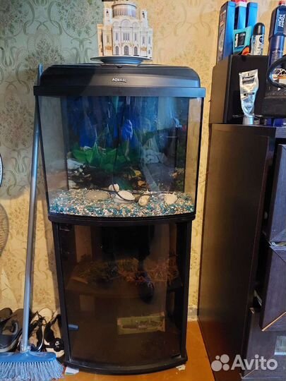 Аквариум