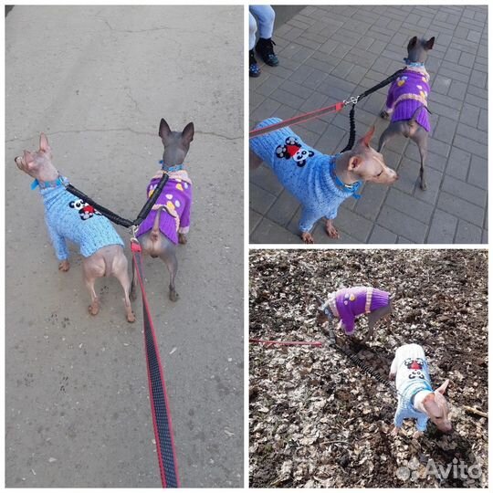 Одежда для собачек