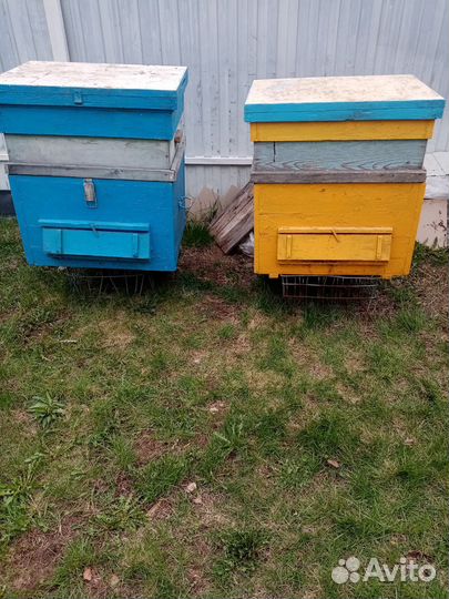 Улей для пчел бу