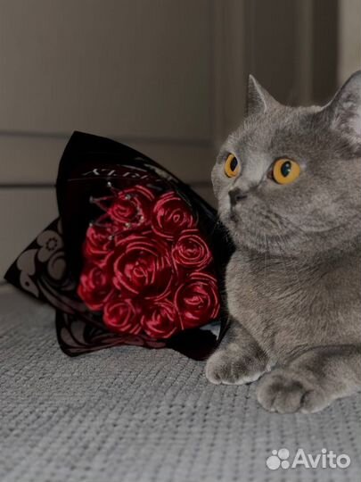 Букеты роз из атласных лент