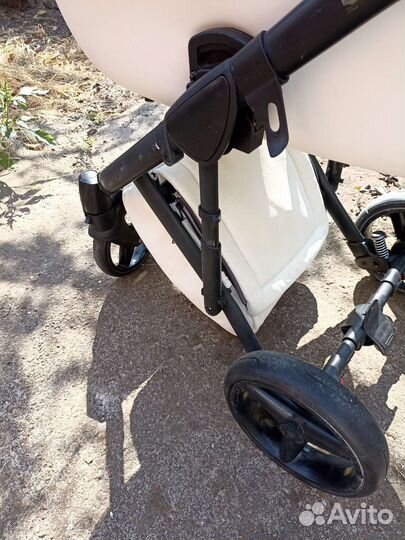 Коляска Adamex luciano 2 в 1