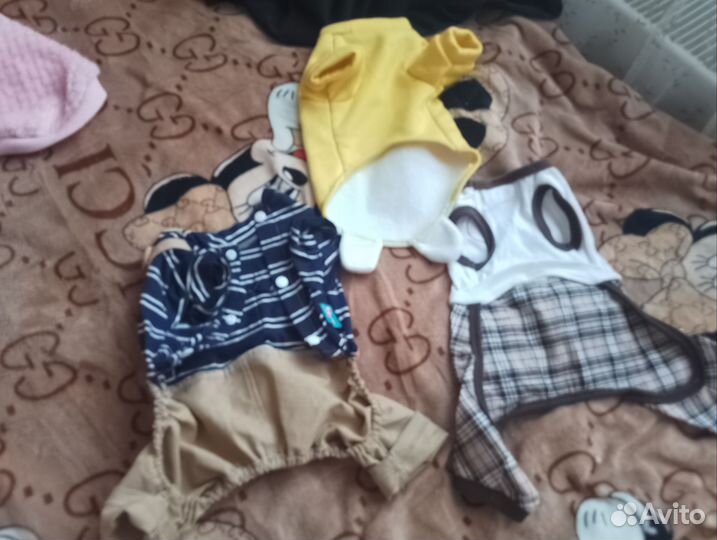 Одежда для собак мелких пород