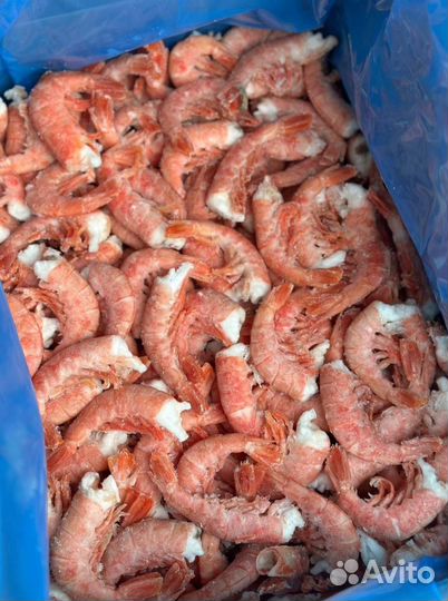 Морепродукты оптом и в розницу