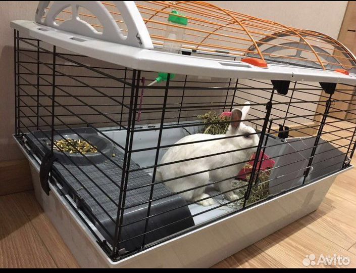 Клетка-домик для декоративного кролика
