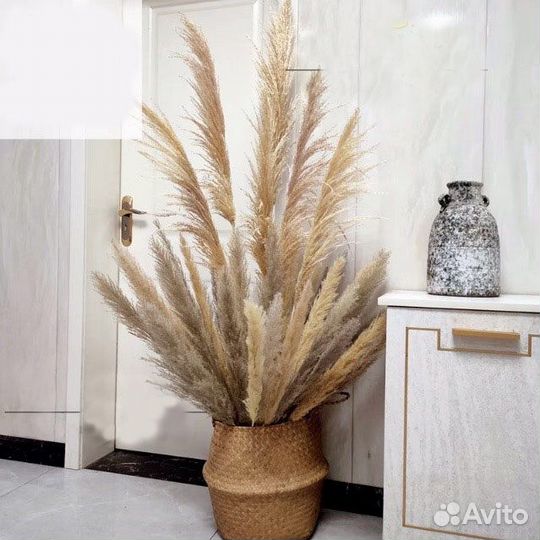Пампасная трава декор растение